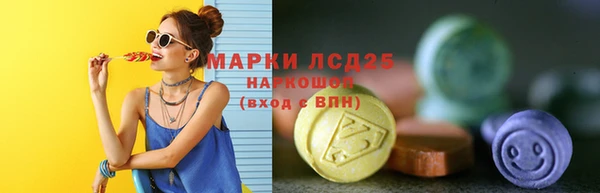 шишки Дубна