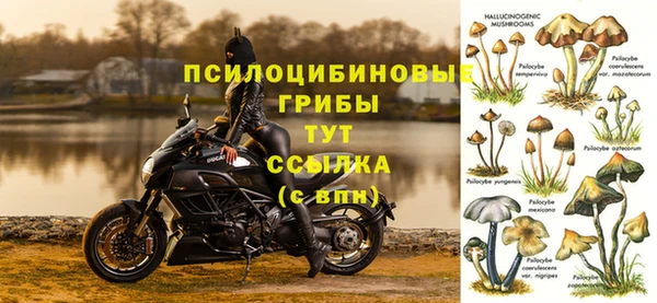2c-b Баксан